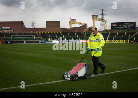 La doublure du club groundsman la hauteur à l'ovale, Belfast, photographié avant Glentoran ville hôte-rivaux Cliftonville dans un match de première division NIFL. Glentoran, formé en 1892, ont été fondées à l'Ovale depuis leur formation et sont historiquement l'un de l'Irlande du Nord des deux grands clubs de football. Ils avaient une unprecendentally mauvais début de la ligue en 2016-2017, campagne mais venaient de derrière pour gagner ce luminaire 2-1, suivi par une foule de 1872. Banque D'Images