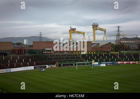 Une vue sur le terrain vers la fin de l'écart avec le signe distinctif de la Harland and Wolfe grues de navire à l'arrière-plan à l'ovale, Belfast, photographié avant Glentoran ville hôte-rivaux Cliftonville dans un match de première division NIFL. Glentoran, formé en 1892, ont été fondées à l'Ovale depuis leur formation et sont historiquement l'un de l'Irlande du Nord des deux grands clubs de football. Ils avaient une unprecendentally mauvais début de la ligue en 2016-2017, campagne mais venaient de derrière pour gagner ce luminaire 2-1, suivi par une foule de 1872. Banque D'Images