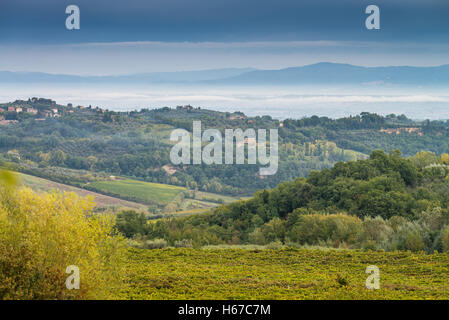 Vignobles en dessous de la célèbre ville vinicole de Montepulciano, Toscane, Italie, Union européenne, Europe Banque D'Images