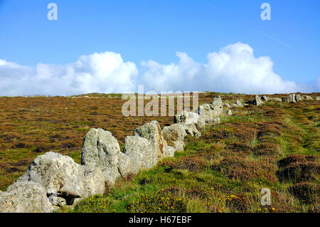 Mur en pierres Terrain / Land's End / Cornwall / Angleterre Banque D'Images