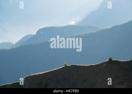 Couches de montagne Dolomites Tyrol du sud en automne. Italie Banque D'Images