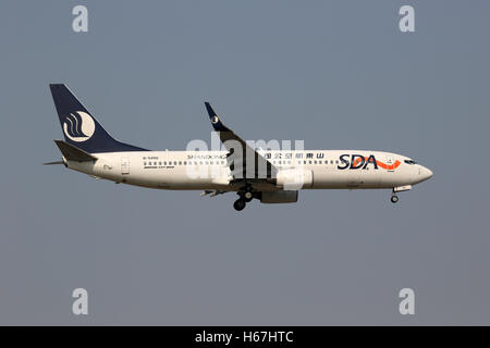 Beijing, Chine - le 21 mai 2016 : un PMO Shandong Airlines Boeing 737-800 avec l'enregistrement B-5490 à l'atterrissage à l'aéroport de Pékin ( Banque D'Images