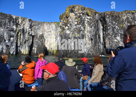 Les falaises de l'île de mai, Fife, comme vu à partir d'un voyage d'une journée en bateau de croisière avec ses passagers à leur retour à l'afficheur. Banque D'Images