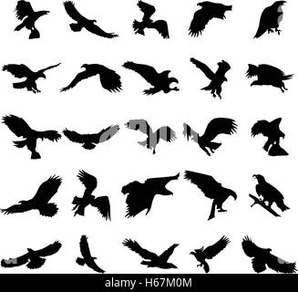 Flying Birds silhouettes set Illustration de Vecteur