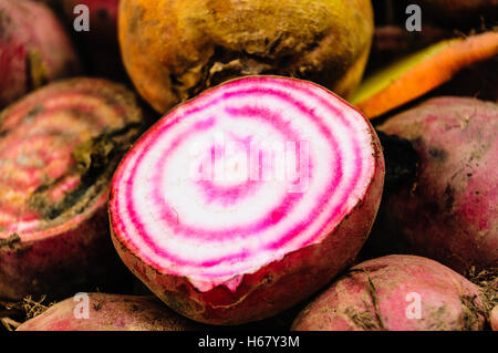 Betterave Chioggia rouge/blanc (Beta vulgaris) en vente sur un marché. Banque D'Images