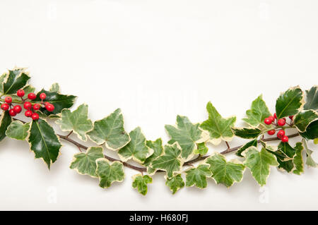 Brin de fête de Holly et feuilles de lierre avec des baies isolé sur un fond blanc pour un modèle de Noël Banque D'Images