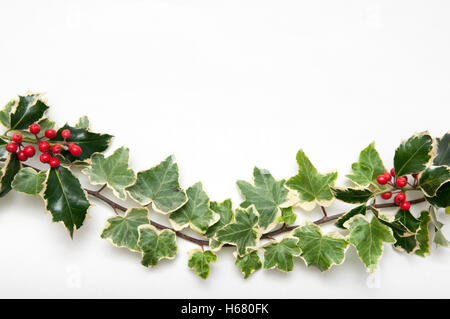 Brin de fête de Holly et feuilles de lierre avec des baies isolé sur un fond blanc pour un modèle de Noël Banque D'Images