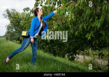 Portrait de jeune femme en veste bleue picking cherries Banque D'Images