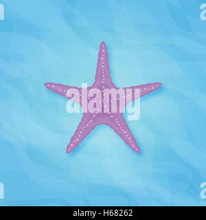 Illustration de l'étoile de mer sur fond bleu Illustration de Vecteur