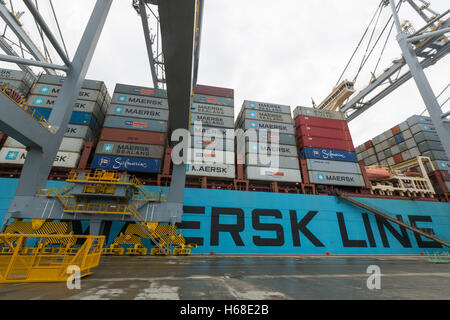 Edith Maersk à London Gateway Banque D'Images