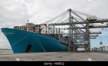 Edith Maersk à London Gateway Banque D'Images