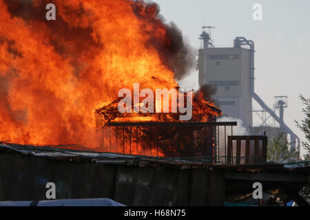 Calais, France. 25 octobre, 2016. L'incendie fait rage dans la cabane en bois. Le deuxième jour de l'expulsion de la Jungle à Calais a vu le démarrage de la démolition de la jungle. Certains refuges ont été démolis par des ouvriers, tandis que d'autres refuges ont été délibérément brûlés. Crédit : Michael Debets/Pacific Press/Alamy Live News Banque D'Images