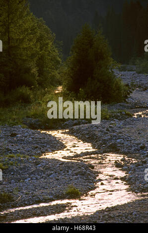 Rivière Tagliamento dans la saison sèche, Forni di Sopra, Carnia, Dolomiti Friulane Nature Park, Frioul-Vénétie Julienne, Italie Banque D'Images