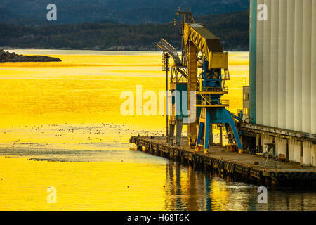 Grain terminal au lever du soleil dans le port de Stavanger, Norvège. Banque D'Images
