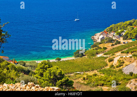 Vignoble et plage dans village pittoresque Farska Bay, île de Brac, Dalmatie, Croatie Banque D'Images