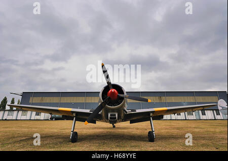 Un North American AT-6D au Texan North Weald Airfield, Essex, Angleterre, Royaume-Uni, Europe Banque D'Images