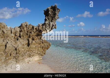 Formation rocheuse érodée sur le bord de la mer, de l'atoll de Tikehau, archipel des Tuamotu, en Polynésie française, l'océan Pacifique Banque D'Images