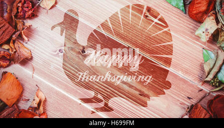 Image composite de l'ossature de la turquie Banque D'Images