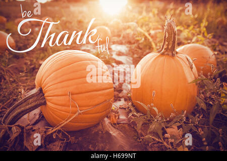 Image composite de l'image numérique de joyeux thanksgiving day text message Banque D'Images
