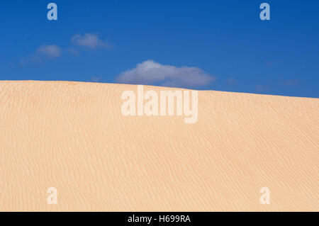 Fuerteventura, Îles Canaries, Afrique du Nord, Espagne : ciel bleu et le paysage désertique de la dunes de sable du parc naturel de Corralejo Banque D'Images