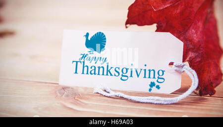 Image composite de l'ossature de la turquie Banque D'Images