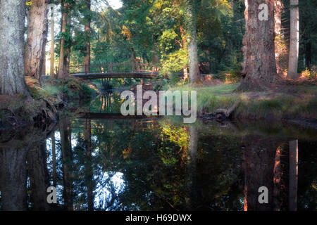 Blackwater, New Forest, Hampshire, England, UK Banque D'Images