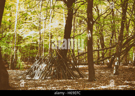 Camp de construction hors de branches dans les bois Banque D'Images