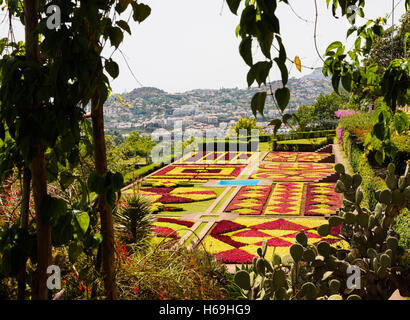 Une vue de la jardin botanique de Madère en direction de Funchal dans l'arrière-plan sur l'île portugaise de Madère Banque D'Images
