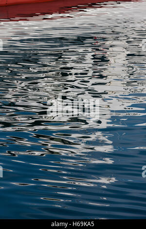 Réflexions et poissons. Harstad, îles Lofoten, Norvège Banque D'Images