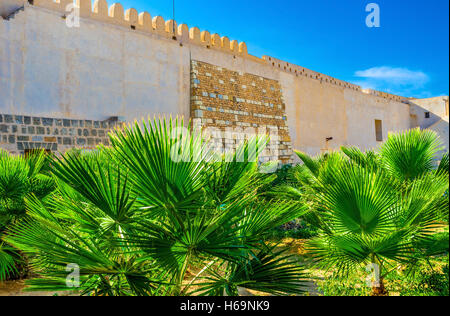 Les hauts murs de Sousse Kasbah masquer le jardin ombragé, la Tunisie. Banque D'Images