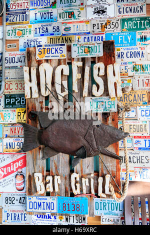 Permis voiture tags clouée au mur à Quirky signe à cochons Bar & Grill. Un grand, locale, lieu authentique pour les poissons en Florida Keys Banque D'Images