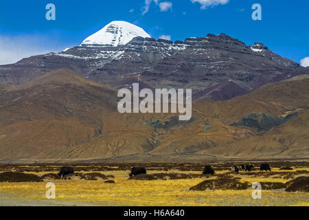 Sommet enneigé du mont Saint Kailash, bouddhisme tibétain, montagne sacrée. Tibet, Chine. Banque D'Images