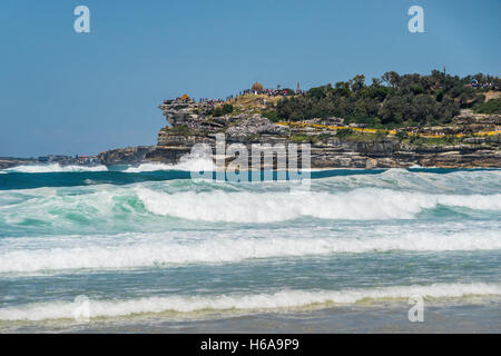 Bondi Beach, Sydney, Australie. 24 Oct, 2016. vue sur les falaises au point Mackenzies et marque Park au cours de l'assemblée annuelle de l'exposition d'art en plein air 'sculpture' par la mer, vu de surf pilonnèrent Bondi Beach, Sydney, New South Wales, Australia Crédit : Manfred Gottschalk/Alamy Live News Banque D'Images