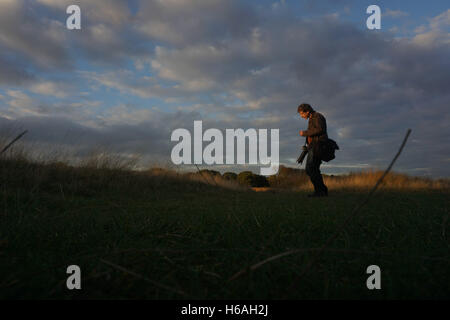 Londres, Angleterre, Royaume-Uni. 26Th Oct, 2016. Richmond Park, Londres, UK. Credit : Voir Li/Alamy Live News Banque D'Images