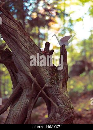 Papier Origami crane assis sur un arbre séché en automne paysage nature Banque D'Images