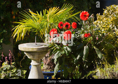 Cadran solaire et plantes dans un petit jardin patio orienté au sud Banque D'Images