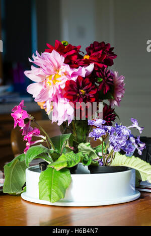 Les fleurs sur une table de cuisine en Octobre Banque D'Images