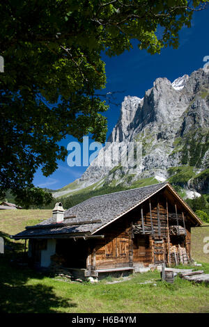 Chalet suisse dans la région de Jungfrau Suisse Banque D'Images