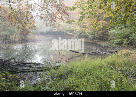 Pont sur la rivière Drava avec une fontaine Banque D'Images
