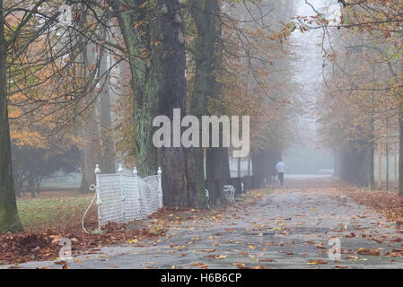Pont sur la rivière Drava avec une fontaine Banque D'Images