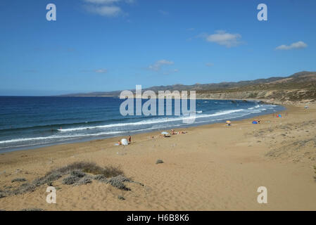 Zone protégée autour des sites de nidification des tortues à la plage de Lara sur la péninsule d'Akamas, République de Chypre Banque D'Images