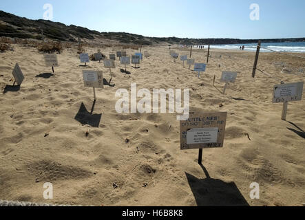 Zone protégée autour des sites de nidification des tortues à la plage de Lara sur la péninsule d'Akamas, République de Chypre Banque D'Images