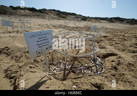 Zone protégée autour des sites de nidification des tortues à la plage de Lara sur la péninsule d'Akamas, République de Chypre Banque D'Images