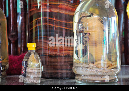 L'alcool spécial contenant des serpents et des scorpions dans le sud du Vietnam dans la région de Vinh Long. Banque D'Images