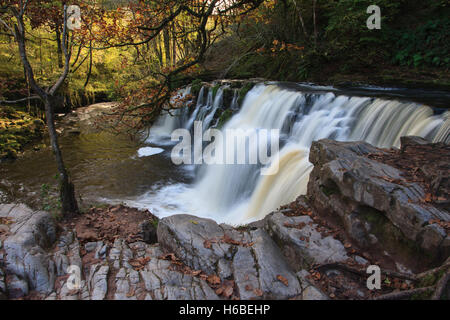 Sgŵd Pannwr y sur la rivière Cascade d'Afon Mellte à Parc national de Brecon Beacons, le Pays de Galles Banque D'Images