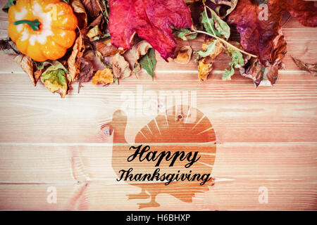 Image composite de l'ossature de la turquie Banque D'Images