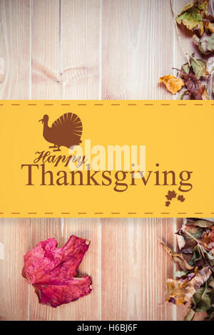 Image composite de l'ossature de la turquie Banque D'Images