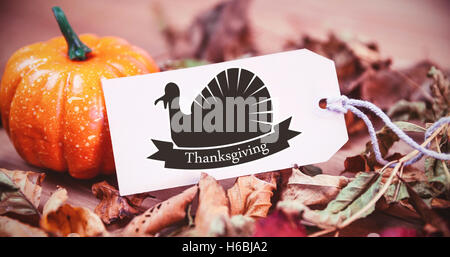 Image composite de l'ossature de la turquie Banque D'Images