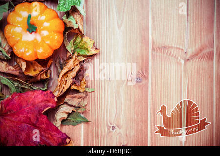 Image composite de l'ossature de la turquie Banque D'Images