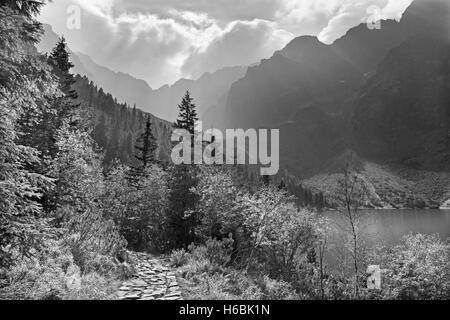 Hautes Tatras - Touristique tour de lac Morskie Oko dans le rétro-éclairage Banque D'Images